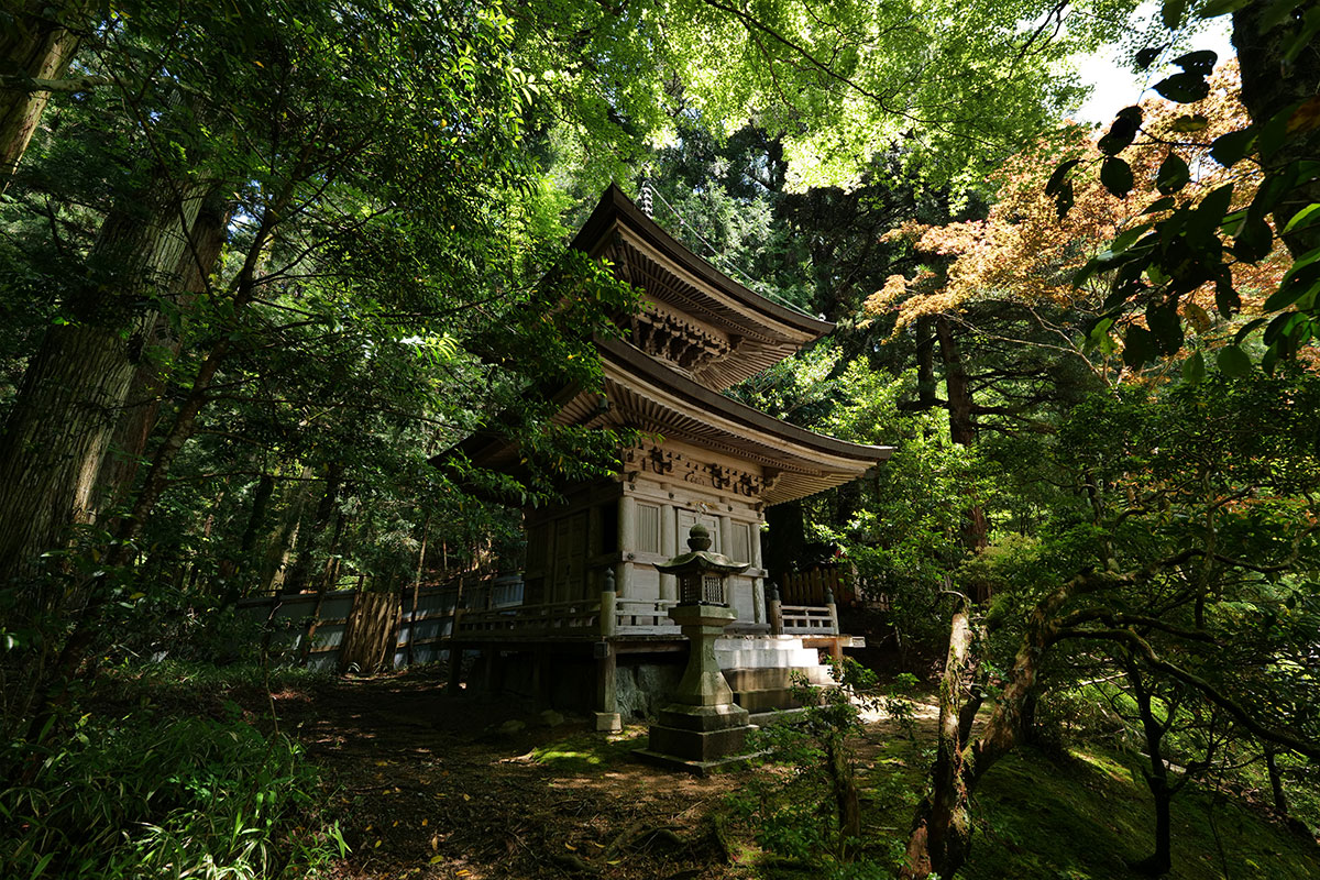 光臺院