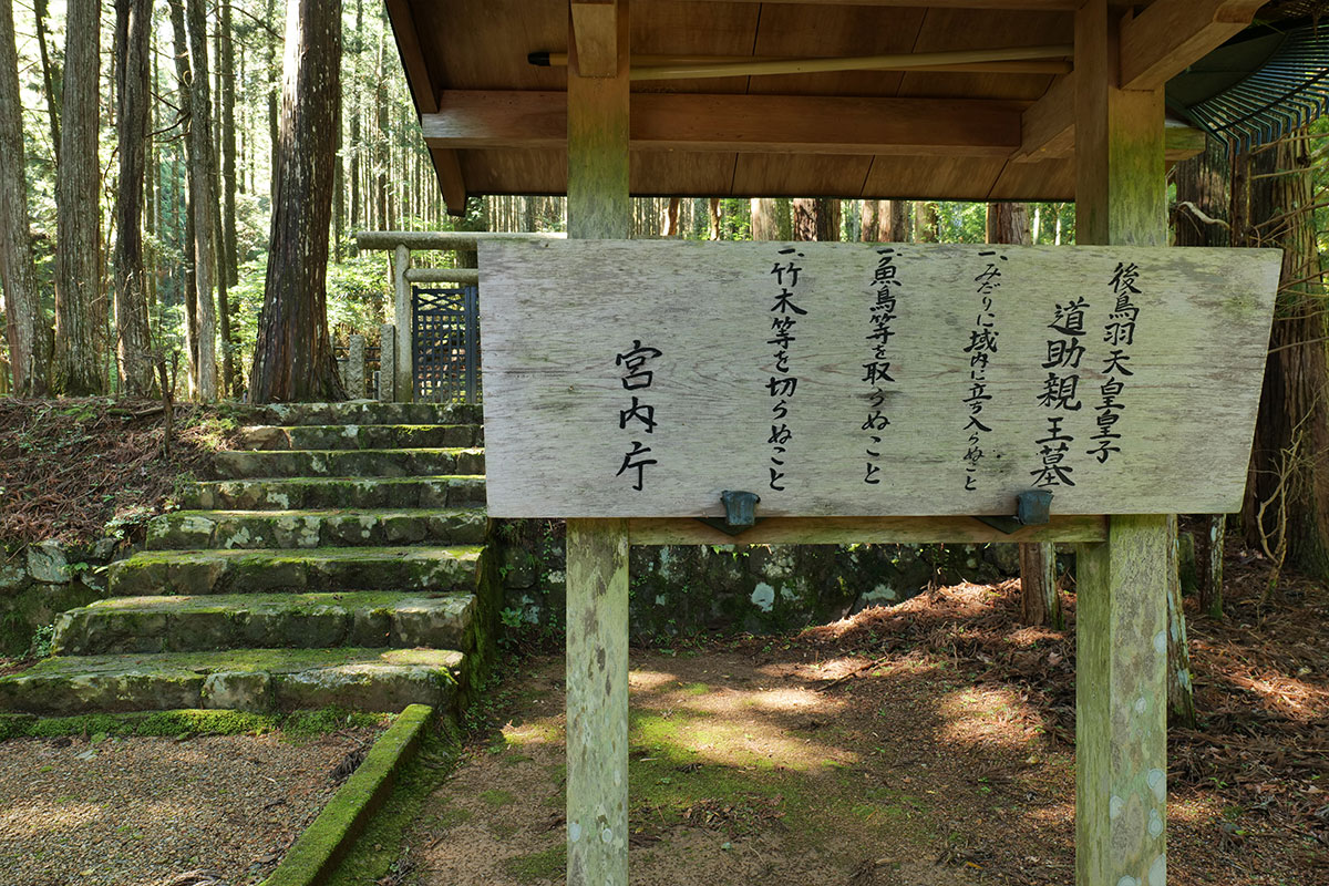 光臺院